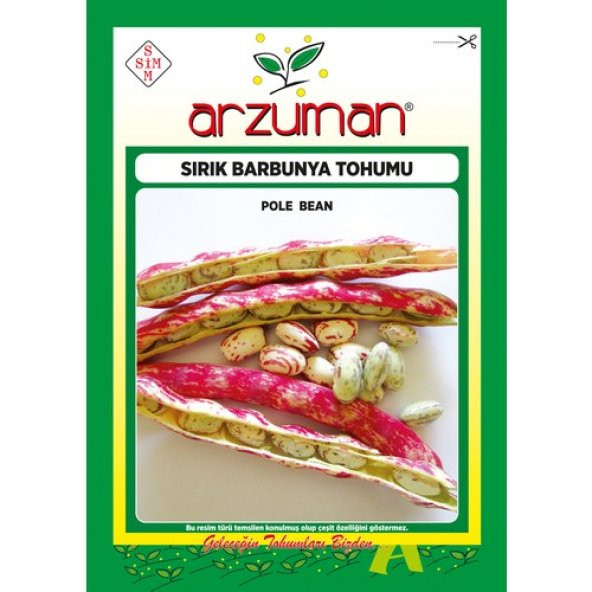 Arzuman Sırık Barbunya Tohumu 50 Gram ürün görseli 1
