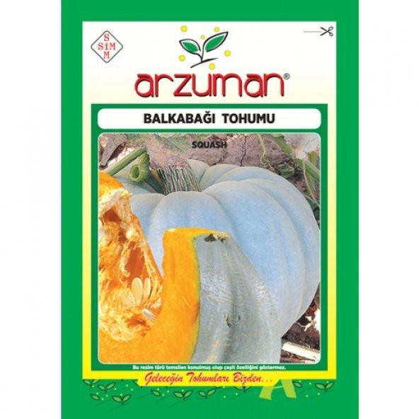 Arzuman Arıcan 97 Balkabağı Tohum 10 gr