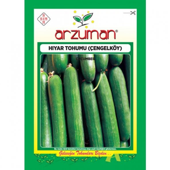 Arzuman Salatalık Çengelköy Hıyar Tohum 10 gr ürün görseli 1