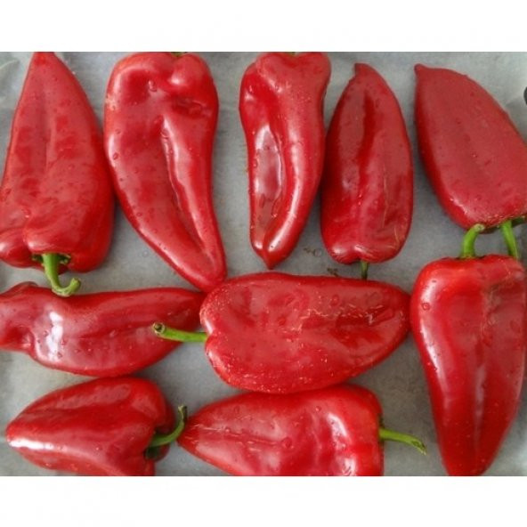 Arzuman Pat Biber - Koyu Yeşil (Közlemelik) 10 Gram ürün görseli 1