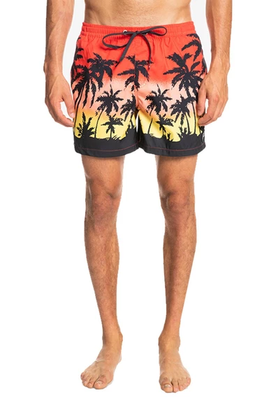 Quiksilver EQYJV03861 - Everday Paradise Volley 15 Şort - 8