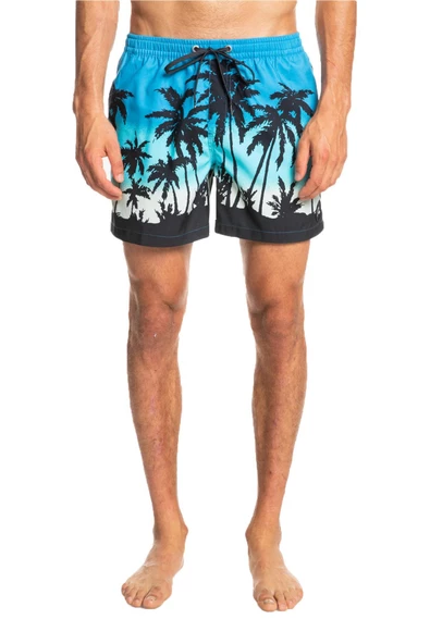 Quiksilver EQYJV03861 - Everday Paradise Volley 15 Şort - 3