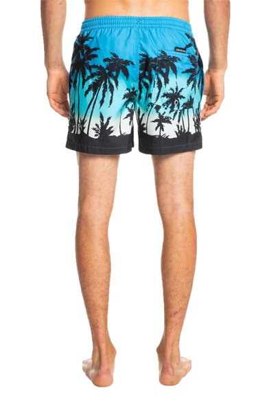 Quiksilver EQYJV03861 - Everday Paradise Volley 15 Şort - 5