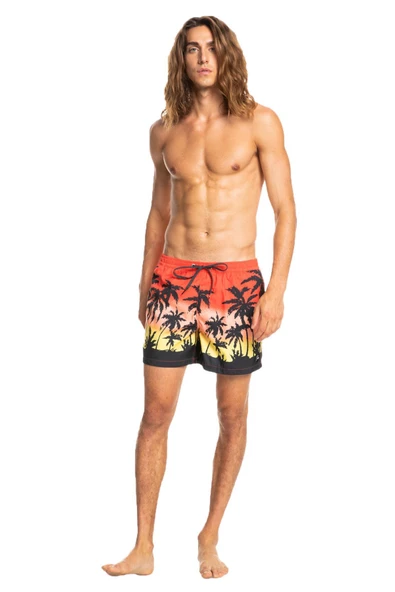 Quiksilver EQYJV03861 - Everday Paradise Volley 15 Şort - 7