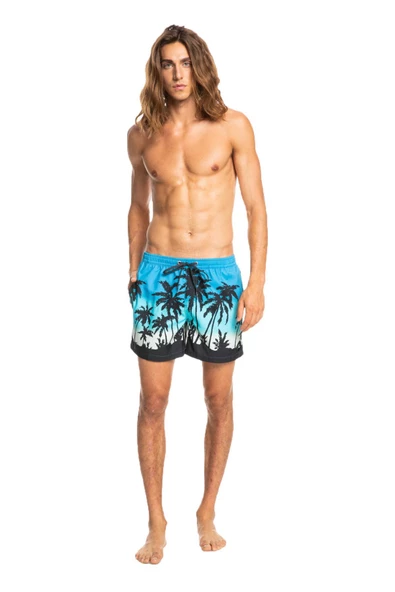 Quiksilver EQYJV03861 - Everday Paradise Volley 15 Şort