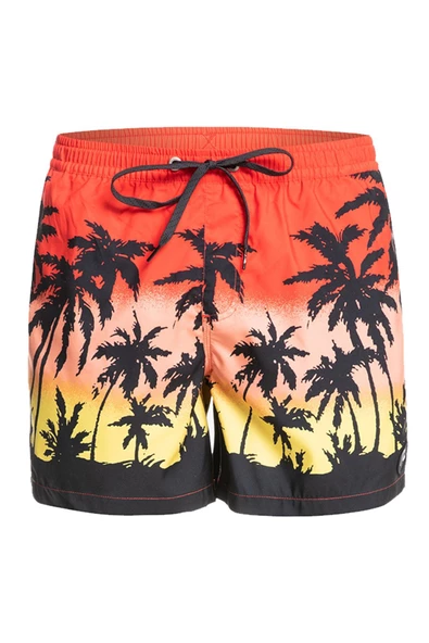 Quiksilver EQYJV03861 - Everday Paradise Volley 15 Şort - 11