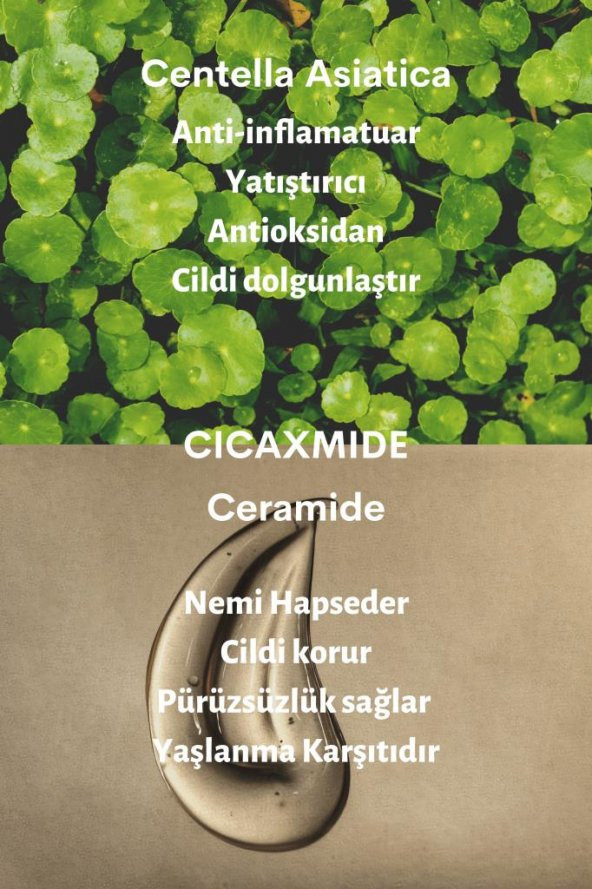Dermal CICA x Mide Facial Cream Centella Asiatica ve Seramid Özlü Aydınlatıcı ve Kırışıklık Bakımı Yüz Kremi 75 ML - 4