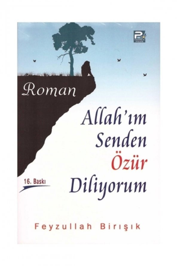 Allahım Senden Özür Diliyorum - Feyzullah Birışık ürün görseli
