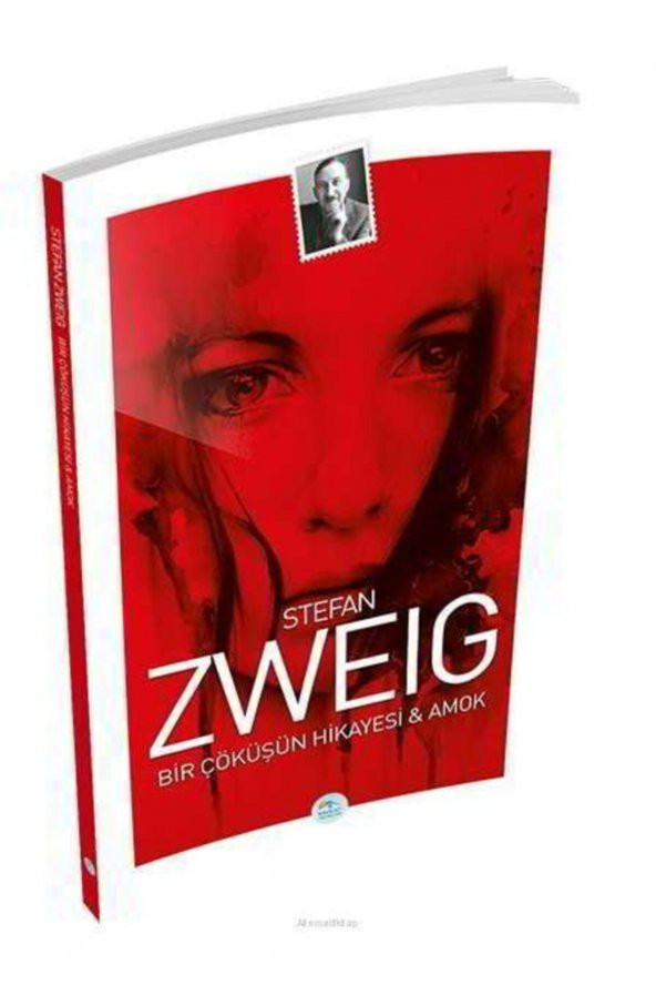 Bir Çöküşün Hikayesi ve Amok ürün görseli