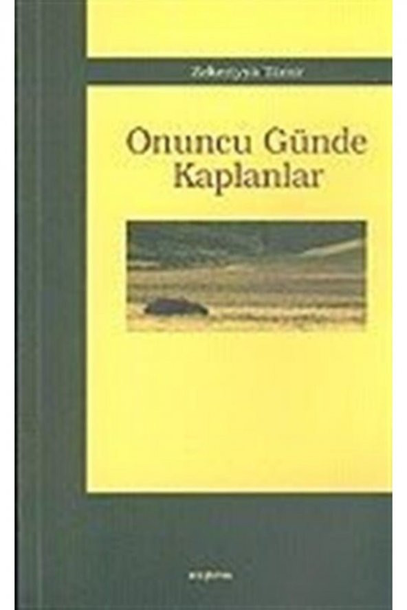 Onuncu Günde Kaplanlar ürün görseli
