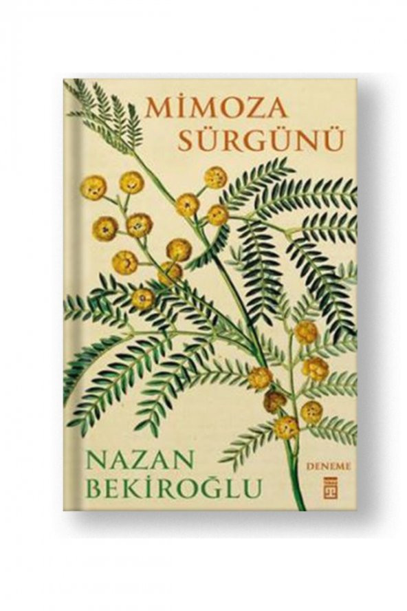 Mimoza Sürgünü ürün görseli