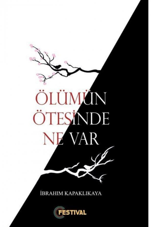 Ölümün Ötesinde Ne Var ? ürün görseli