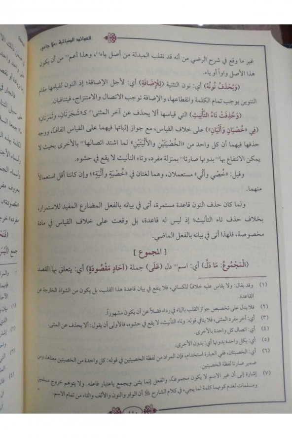 Molla Cami Yeni Dizgi - 2