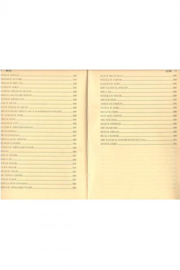 Rasulullahın Yıldızları Sahabiler, Taceddin Uzun/uğur Pekcan, 17x24 Ciltli, Serhat - Resim 2