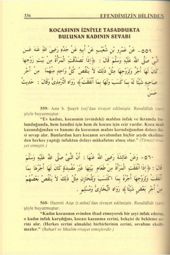 Hadislerle Amellerin Fazileti, Hafız Ebu Muhammed Şerefüddin, Ciltli, Pamuk - 2