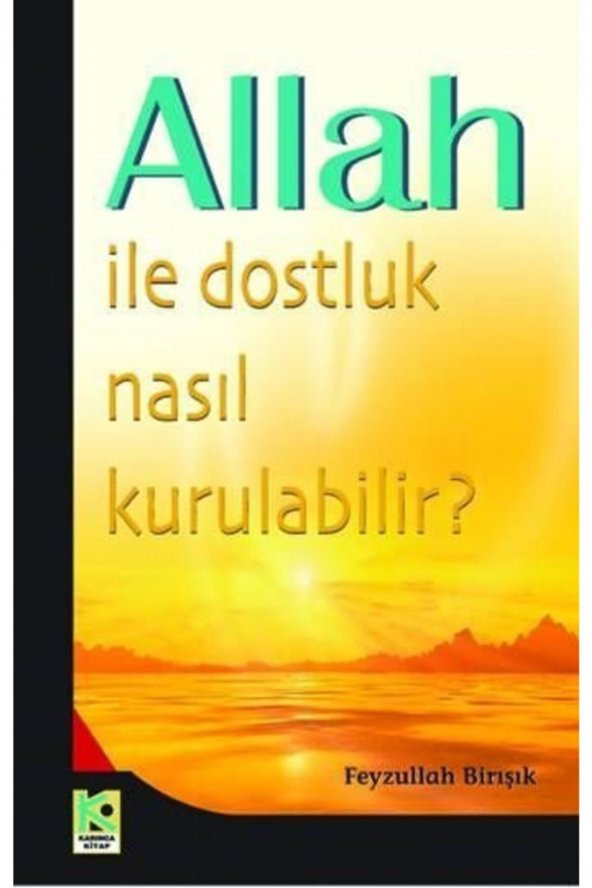 Allah Ile Dostluk Nasıl Kurulabilir, Feyzullah Birışık, Polen ürün görseli