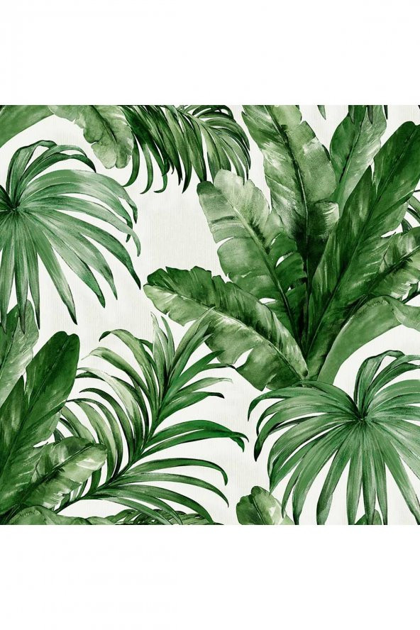ADAWALL 4714 SERIE | PALM LEAVES AND TROPICAL JUNGLE INSPIRED DUVAR KAĞIDI (4714-4 BEYAZ) - 1