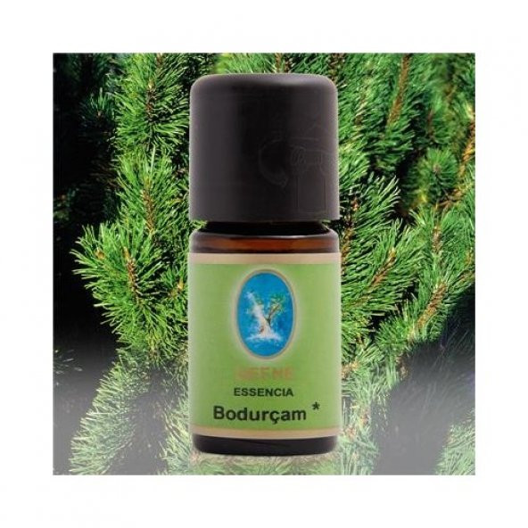 Nuka Defne Bodur Çam Yağı 5 Ml Aromatik Cilt Bakım Nuka Yağ