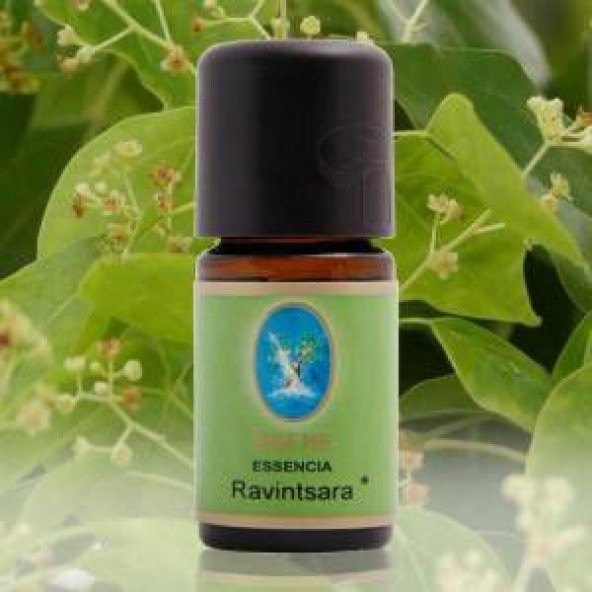 Nuka Ravintsara Yağı 5 ml. (Organik - Damıtma) Madagaskar