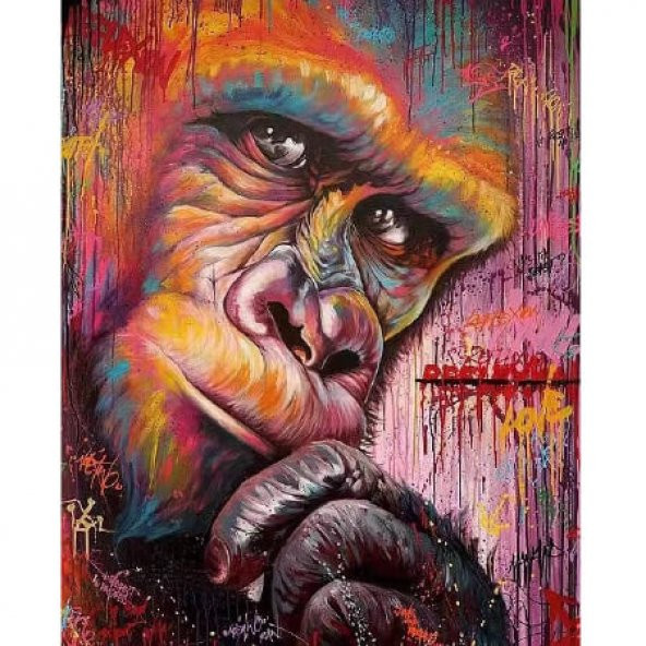 Canvas Düşünen Goril Sayılarla Boyama Seti  Rulo 40 x 50 cm - 1