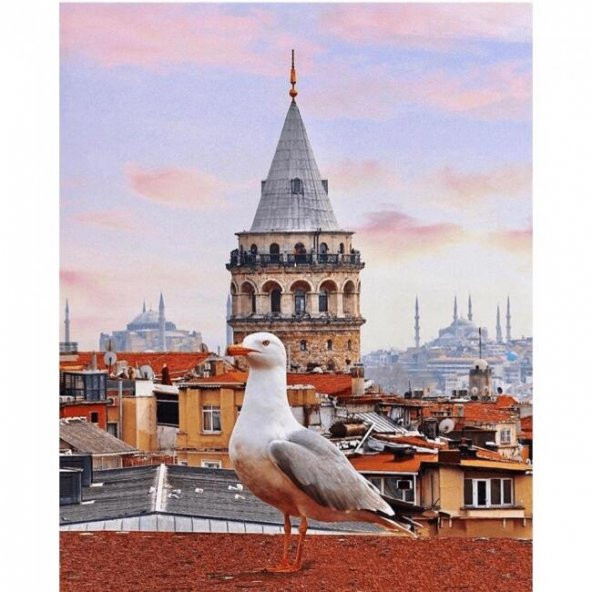 Canvas Galata Kulesi ve Martı Sayılarla Boyama Seti  Duvar Sticker Rulo 90 x 110 cm - 1