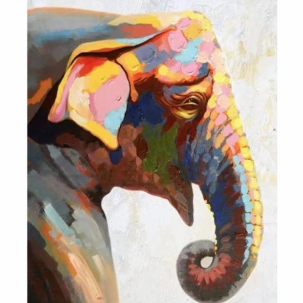Canvas Yaşlı Fil Sayılarla Boyama Seti  Rulo 90 x 110 cm