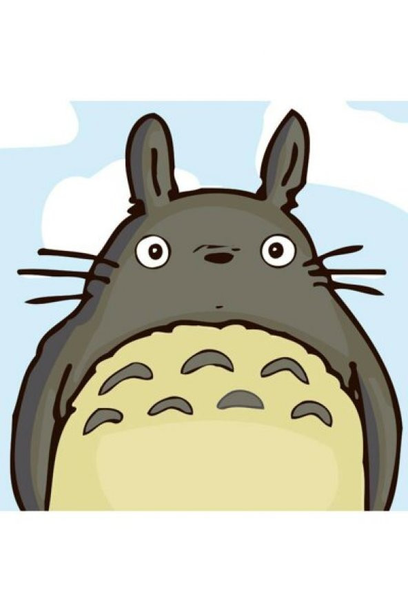 Çocuklar İçin Sayılarla Boyama Seti Tombiş Tavşan Totoro Kasnaklı 20 x 20 cm