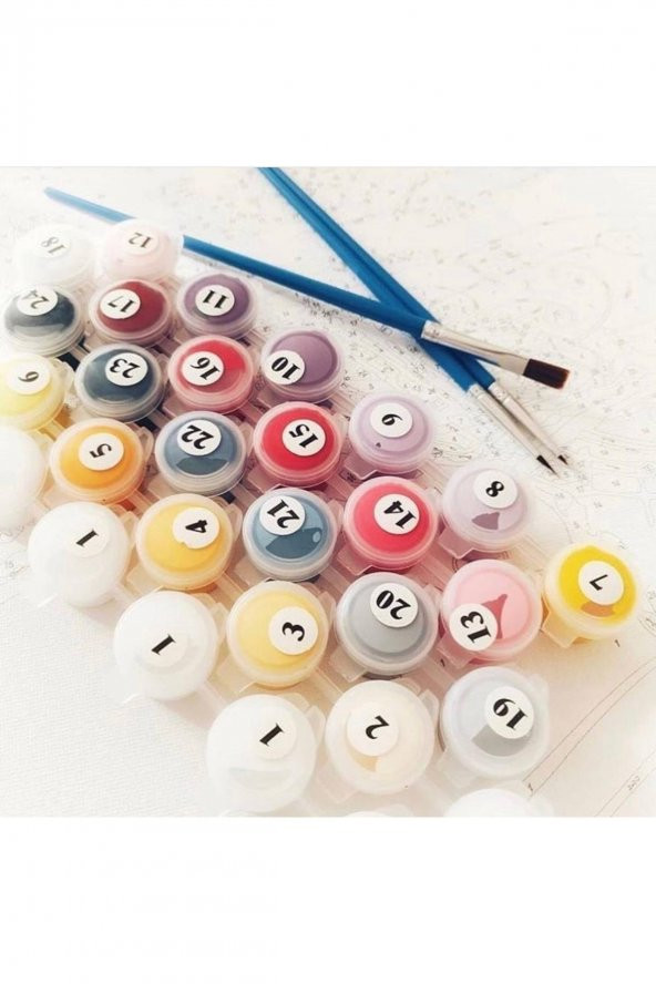 Çocuklar İçin Sayılarla Boyama Seti Tombiş Tavşan Totoro Kasnaklı 20 x 20 cm - Resim 6