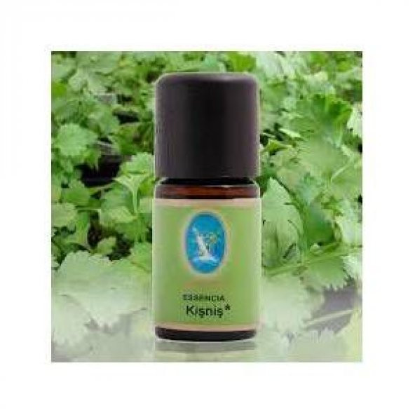 Nuka organik kişniş yağı 5 ml