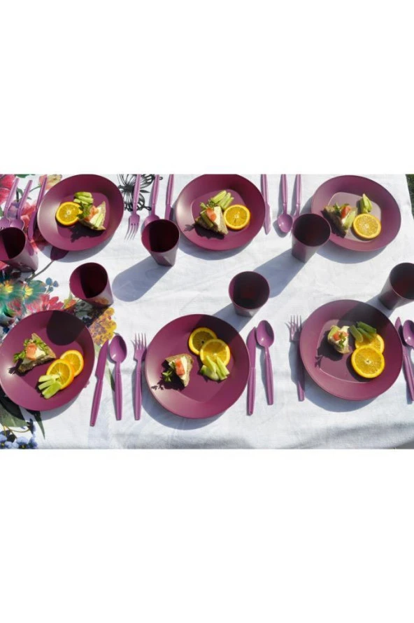 Katlı Piknik Seti Mürdüm - 3