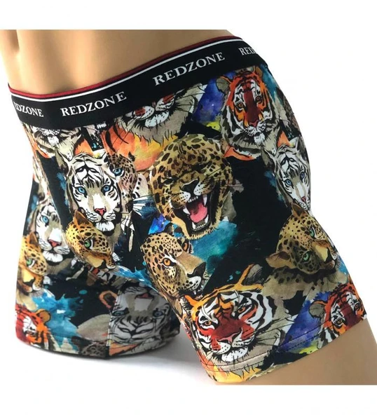 Dijital Baskılı Büyük Beden Likralı Boxer - 2