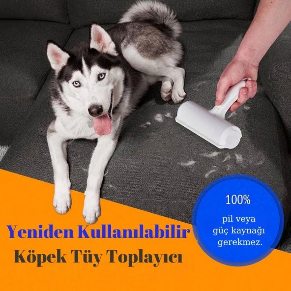 Hazneli Kedi Köpek Tüy Temizleyici Kıl Toz Toplayıcı Kazak Halı Tiftik Temizleyici Gırgır 2 Yönlü - 5