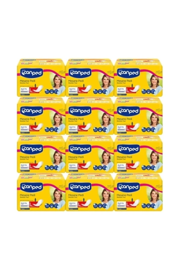 Canped Mesane Pedi Büyük Boy Large 10 Lu X12 Adet - Resim 2