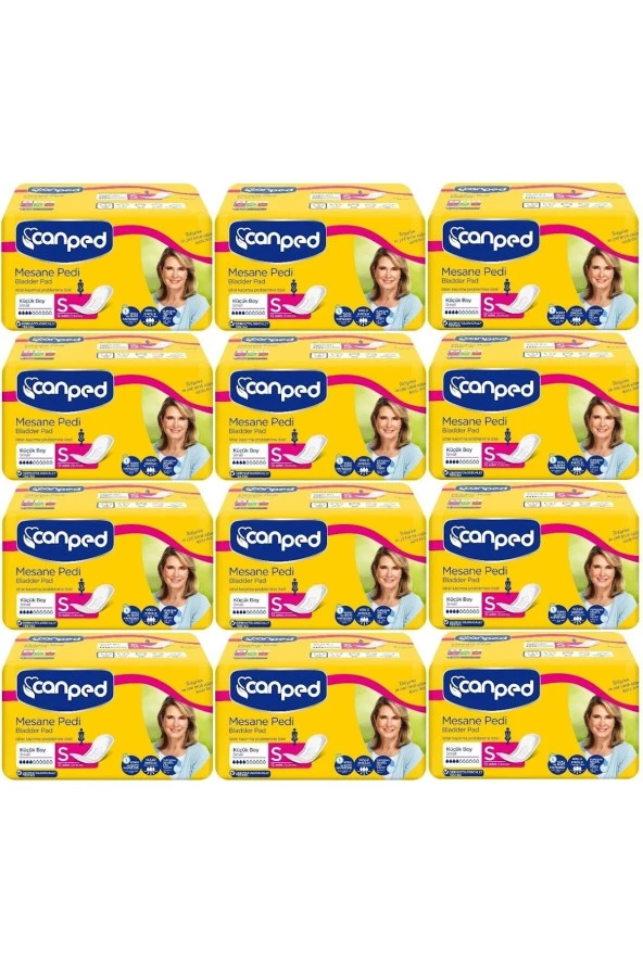 Canped Mesane Pedi Klasik S-küçük Boy 144 Adet (12pkx12)