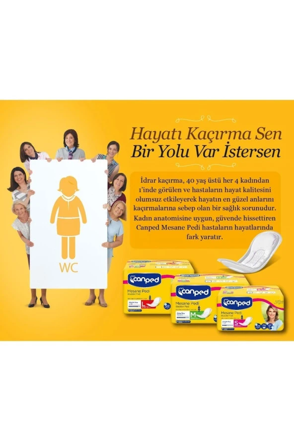 Canped Mesane Pedi Klasik L-büyük Boy 30 Adet (3pk*10) - 3
