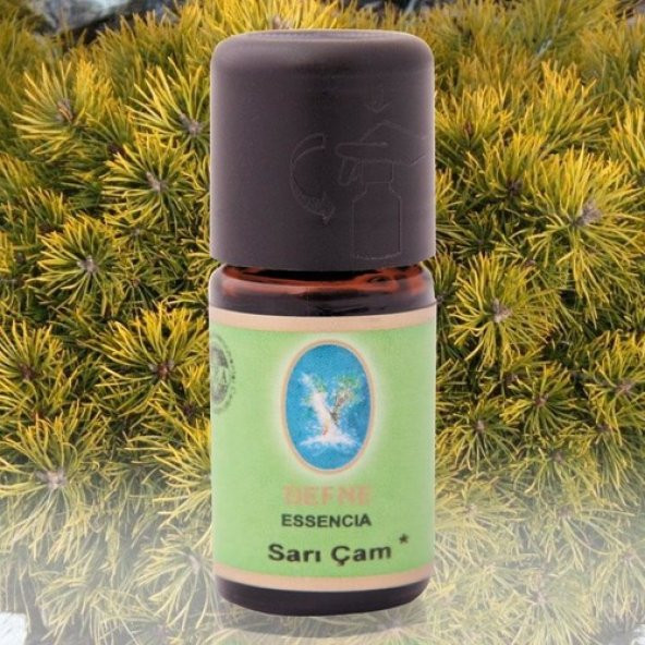 Nuka Organik Sarı Çam Yağı 10 ml