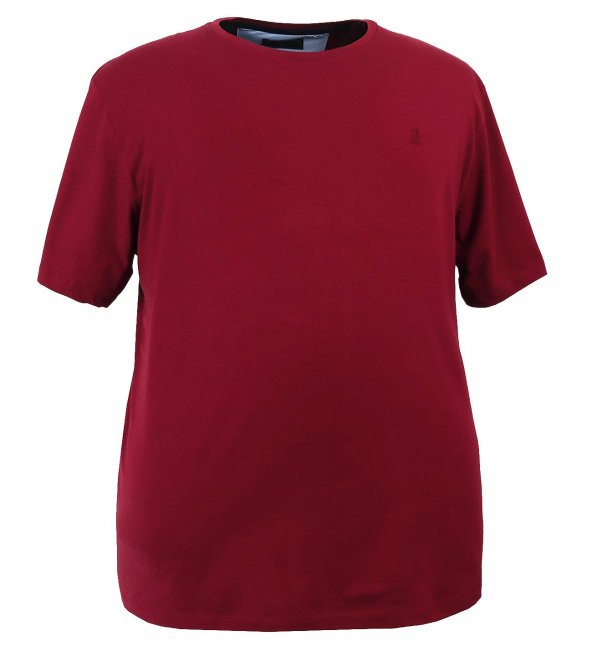 Erkek Büyük Beden Likralı Bisiklet Yaka Tişört - 3