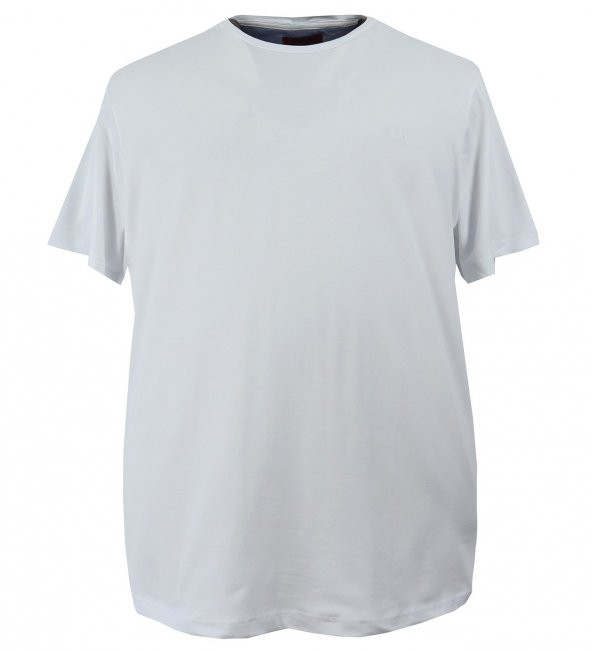 Erkek Büyük Beden Likralı Bisiklet Yaka Tişört - 5