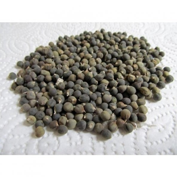 İbk İklim Bahçe Bamya Tohumu 500 gr ürün görseli 1