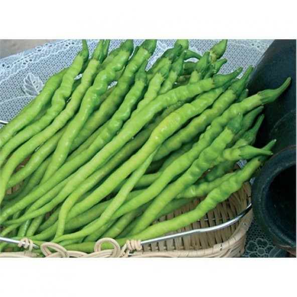 Biber Kıl Sivri Tatlı Tohumu(10 Gr) ürün görseli 1