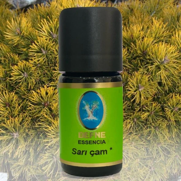 Defne Nuka Essencia Sarı Çam Yağı 10 ML