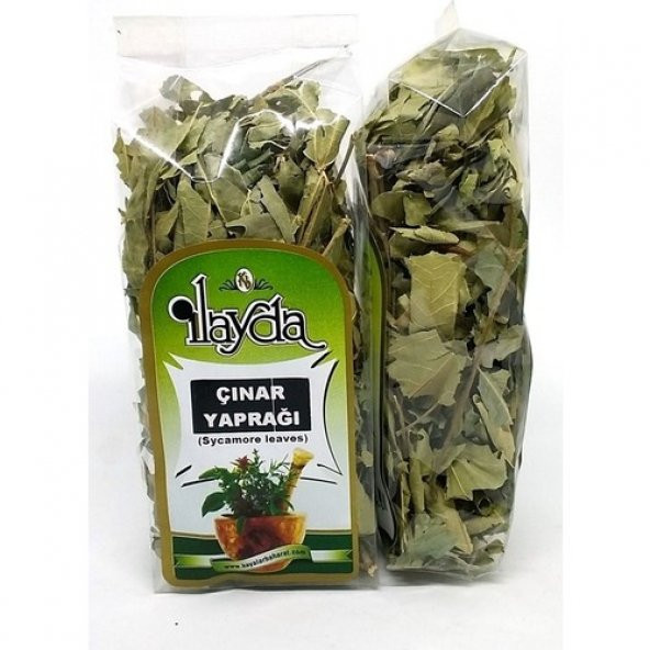 Ilayda Çınar Yaprağı (Sycamore Leaves)