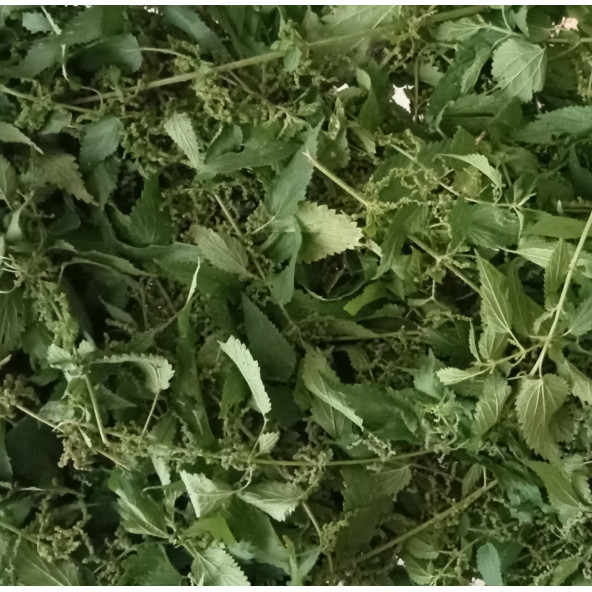 Yerli Erkek ısırgan tohumu ve yaprağı Bitki Çayı 40 G - 2