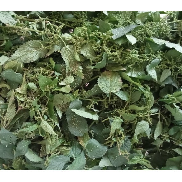 Yerli Erkek ısırgan tohumu ve yaprağı Bitki Çayı 40 G - 3