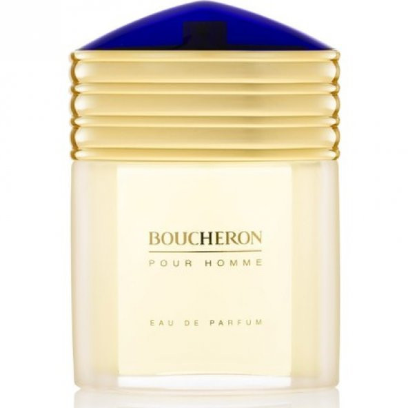 Boucheron Pour Homme Edp 100 Ml Erkek Parfüm