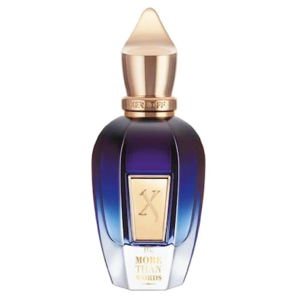Xerjoff More Than Words EDP 100 ML Unisex Parfüm