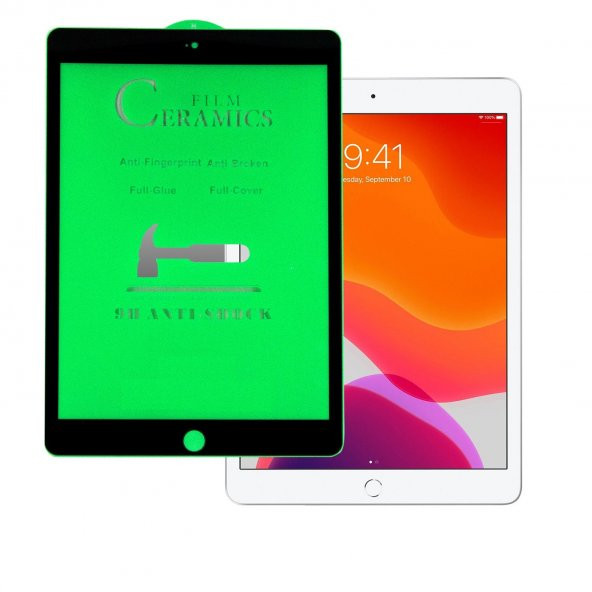 ipad Mini 4 5 Seri 9H 330 Derece Bükülen Seramik Ekran Koruyucu -Mat - 2