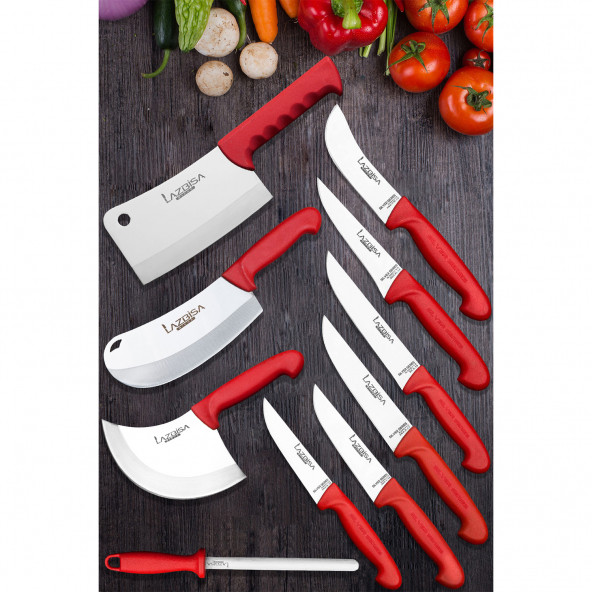 Lazbisa Silver Profosyonel 10 Parça Mutfak Bıçak Seti Et Ekmek Sebze Meyve Soğan Börek Bıçakağı