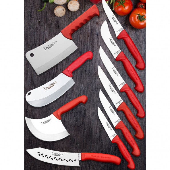 Lazbisa Silver Profosyonel 10 Parça Mutfak Bıçak Seti Et Ekmek Sebze Meyve Soğan Börek Şef Bıçağı