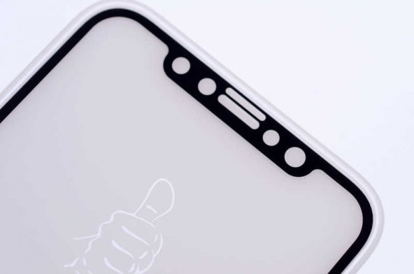 Apple iPhone X Zore Kenarları Kırılmaya Dayanıklı Cam Ekran Koruyucu - 2